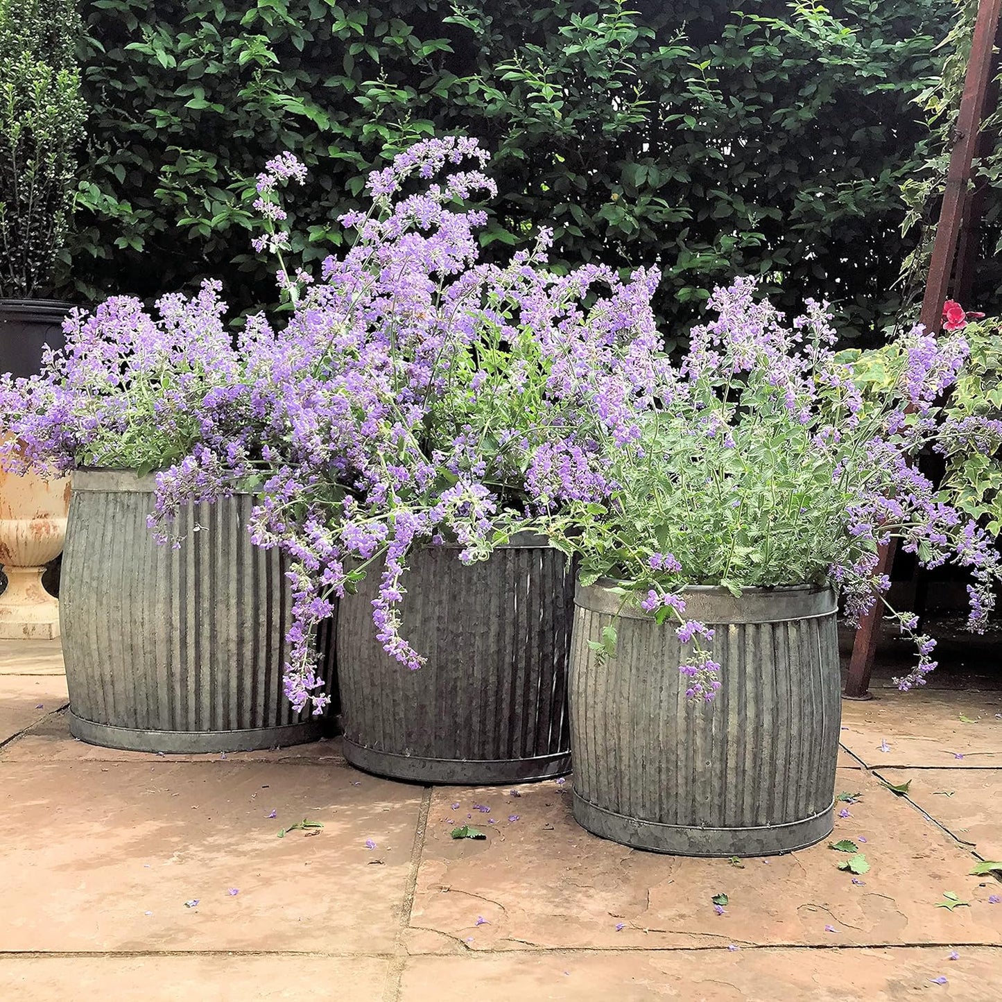 French Country Style Belly Planters