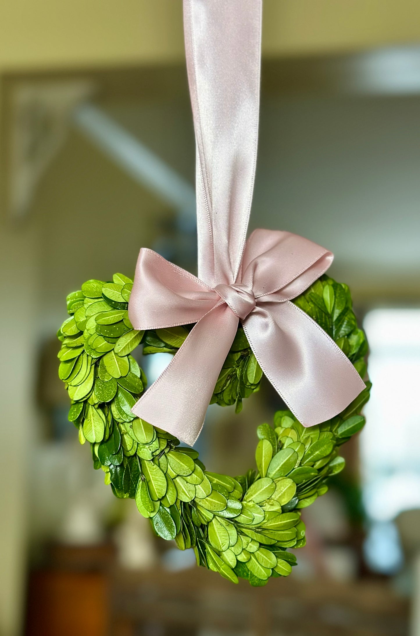 Preserved Boxwood 6" Heart Shaped Wreath