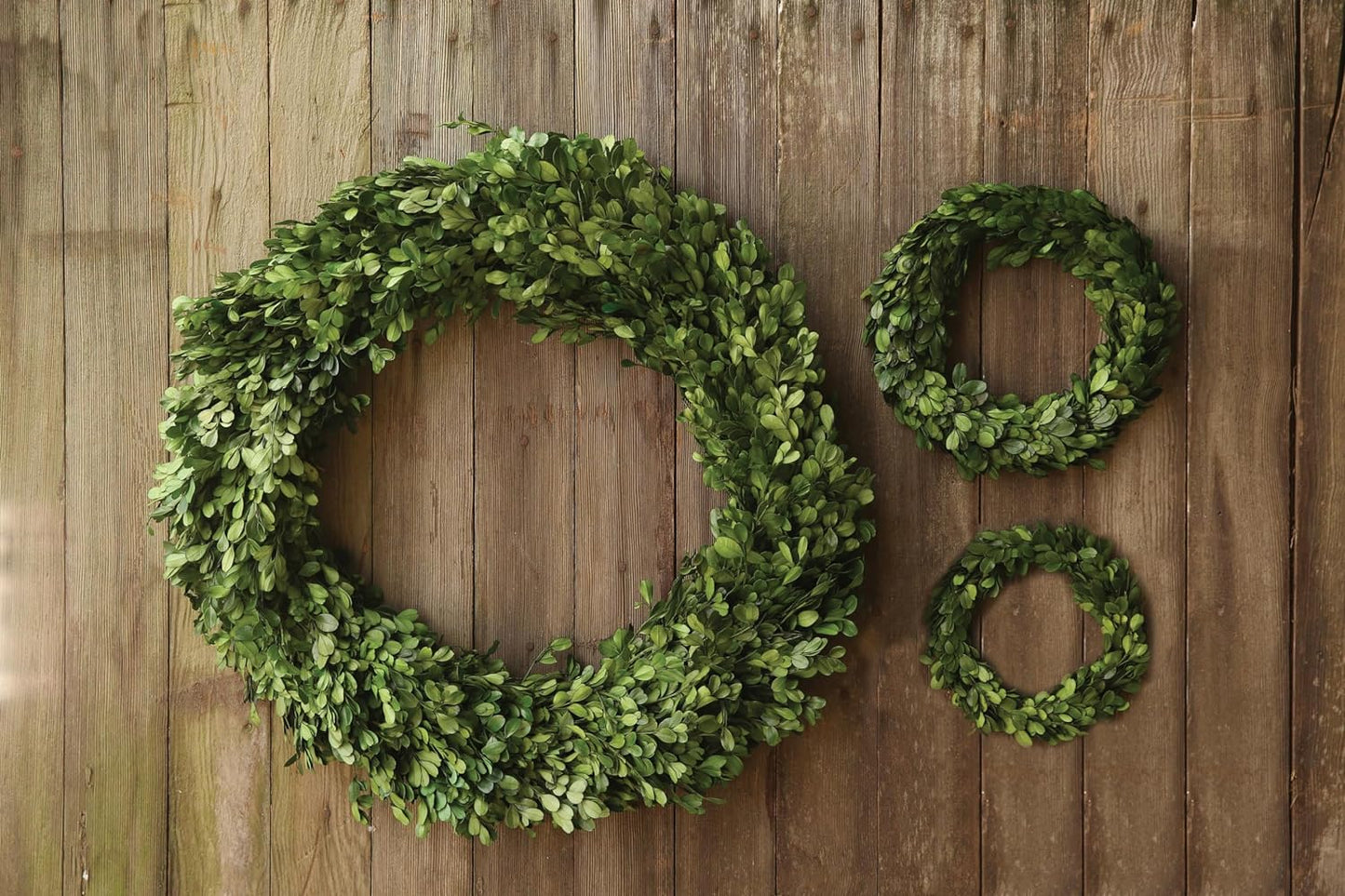 Preserved Boxwood Wreath