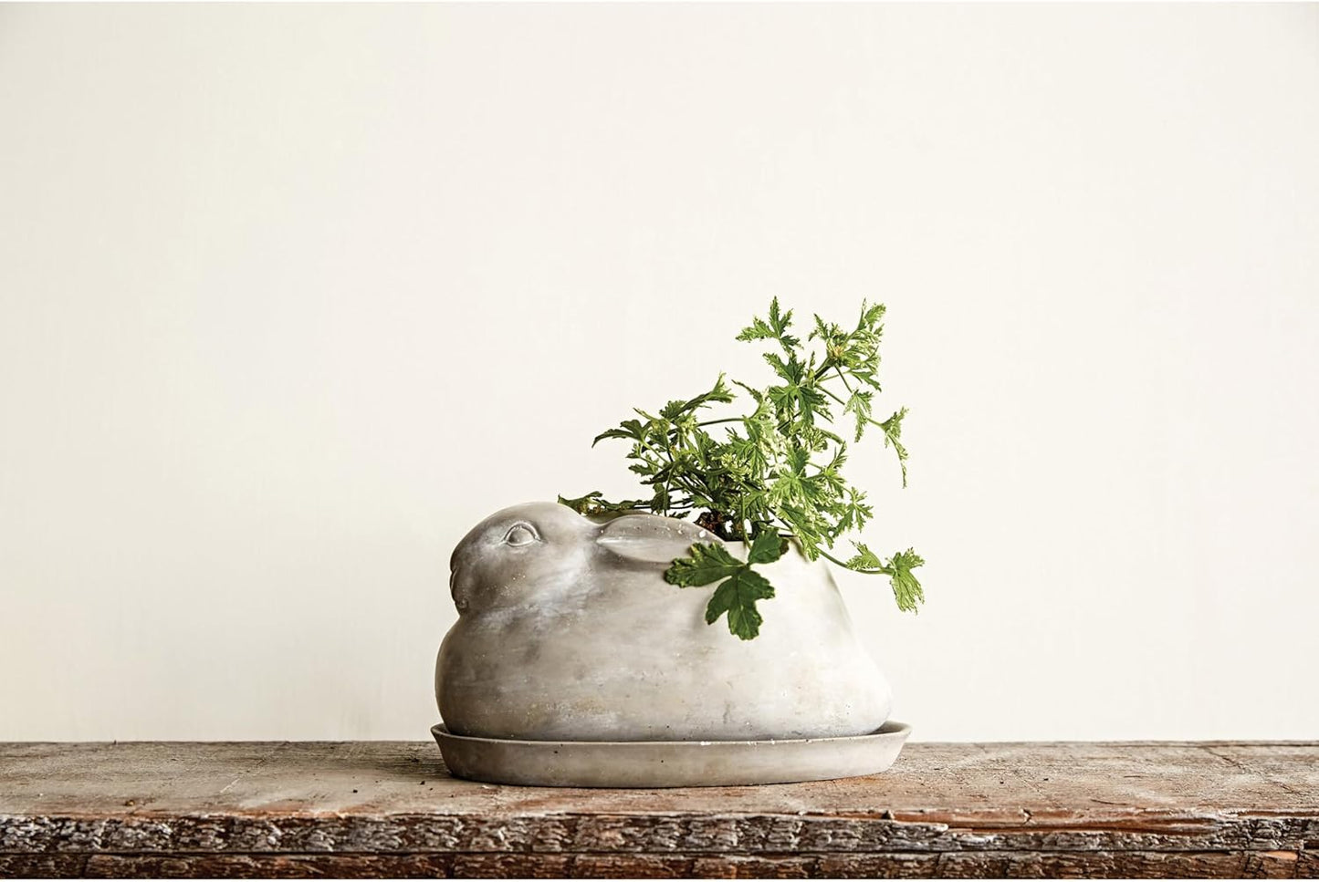 Rabbit Planter with Saucer